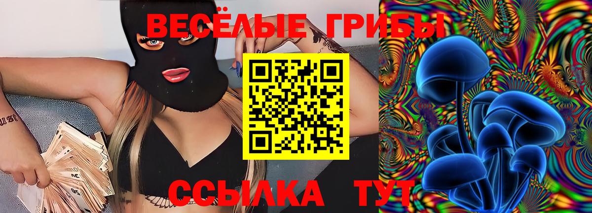 Магнитогорск  Псилоцибиновые грибы ЛСД  Вход с VPN 