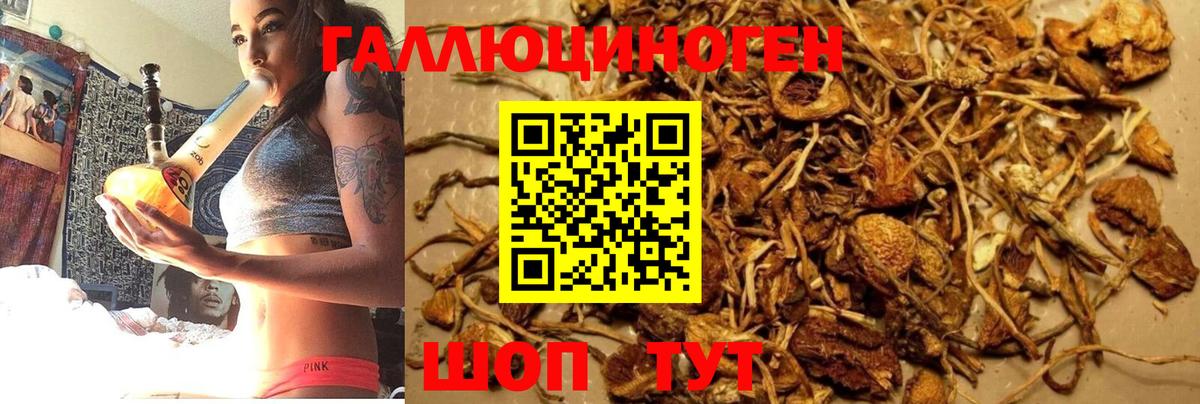 Галлюциногенные грибы MAGIC MUSHROOMS Магнитогорск
